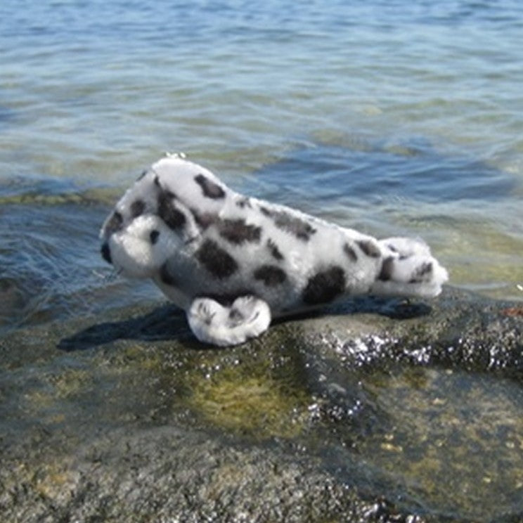 Mini Plush Seal