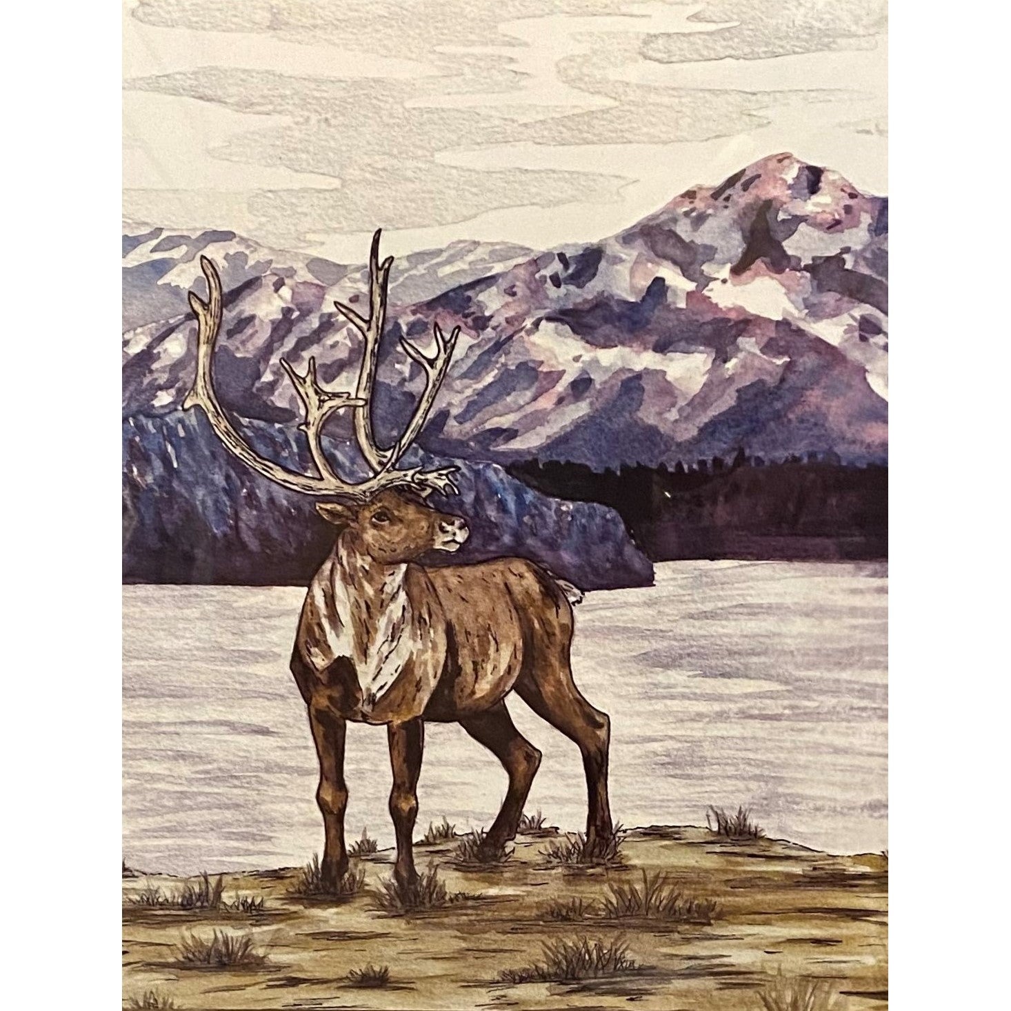 Caribou Sights Print