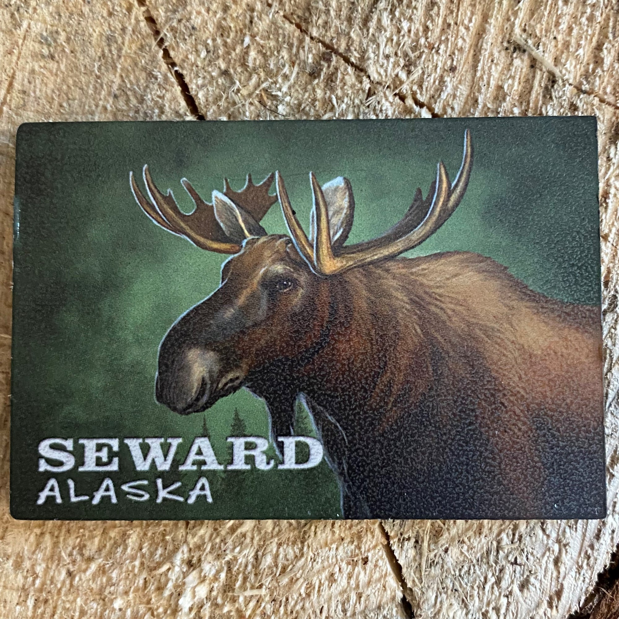 Moose Portrait Magnet