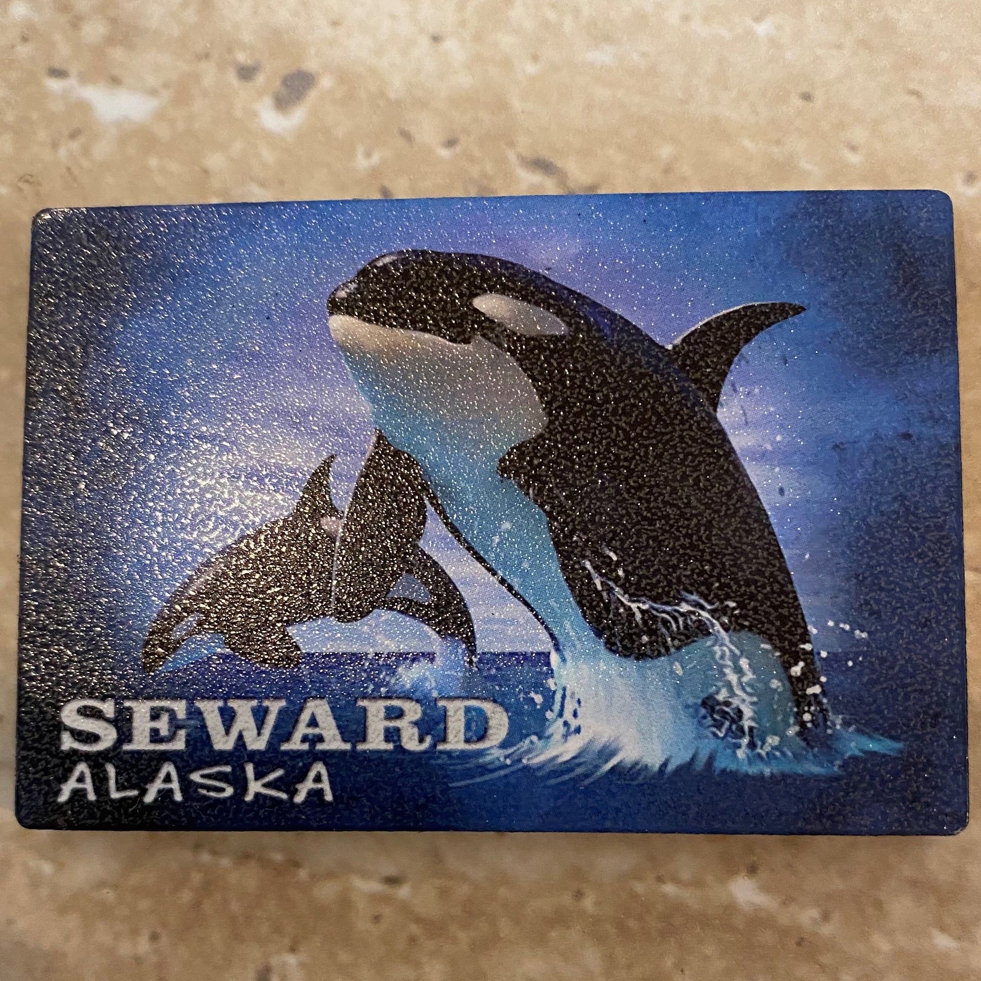 Orca Portrait Magnet