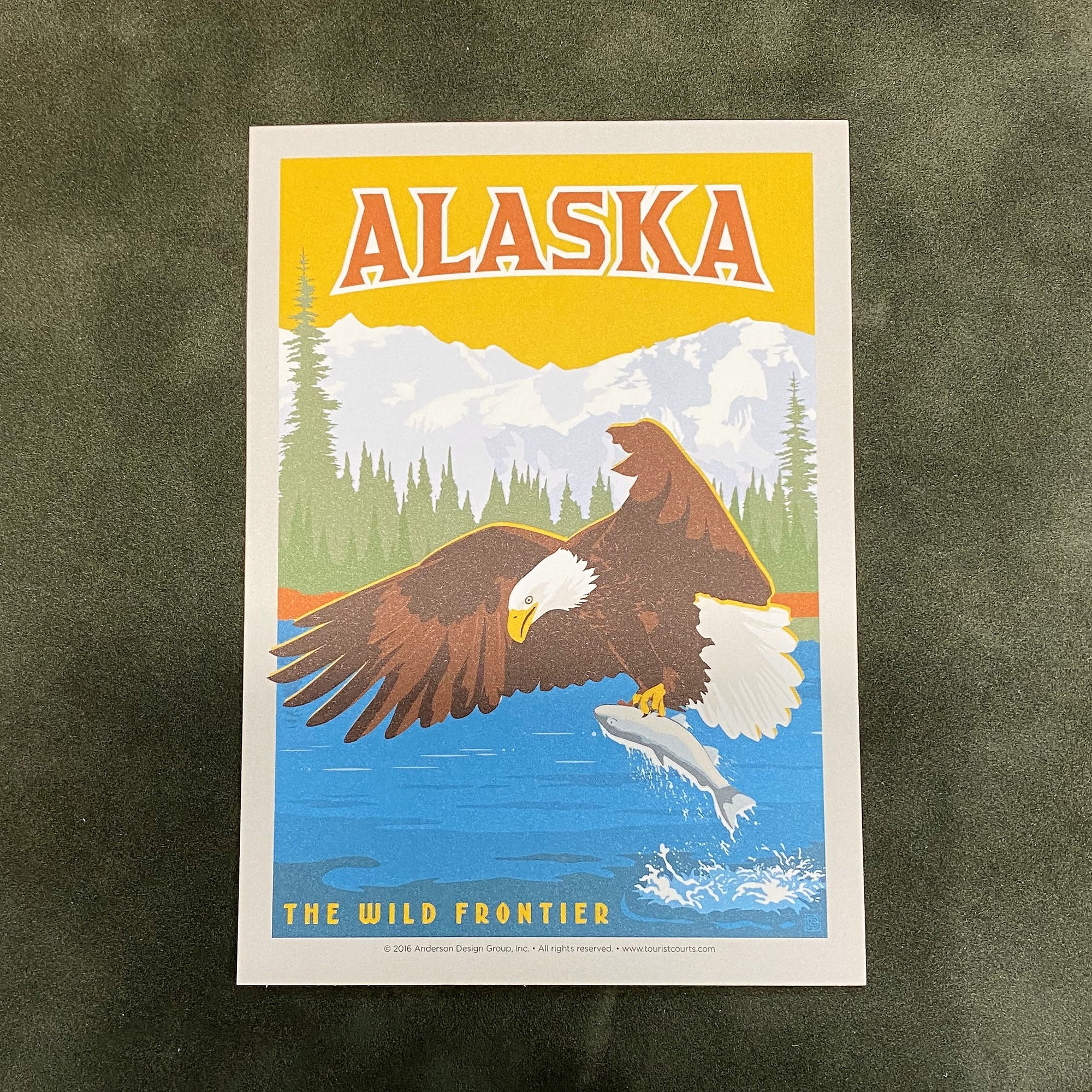 Vintage Eagle And Salmon Postcard