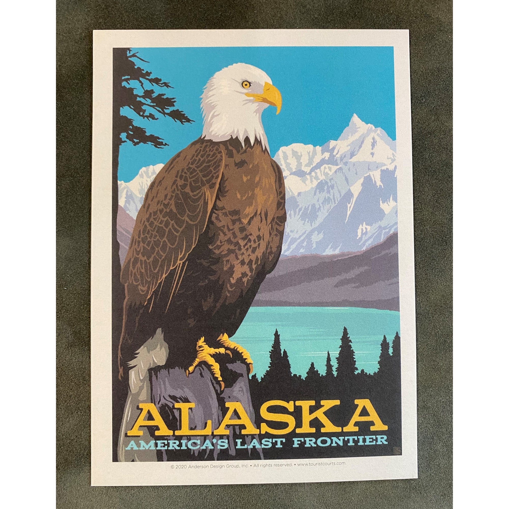 Vintage Alaska Eagle Postcard