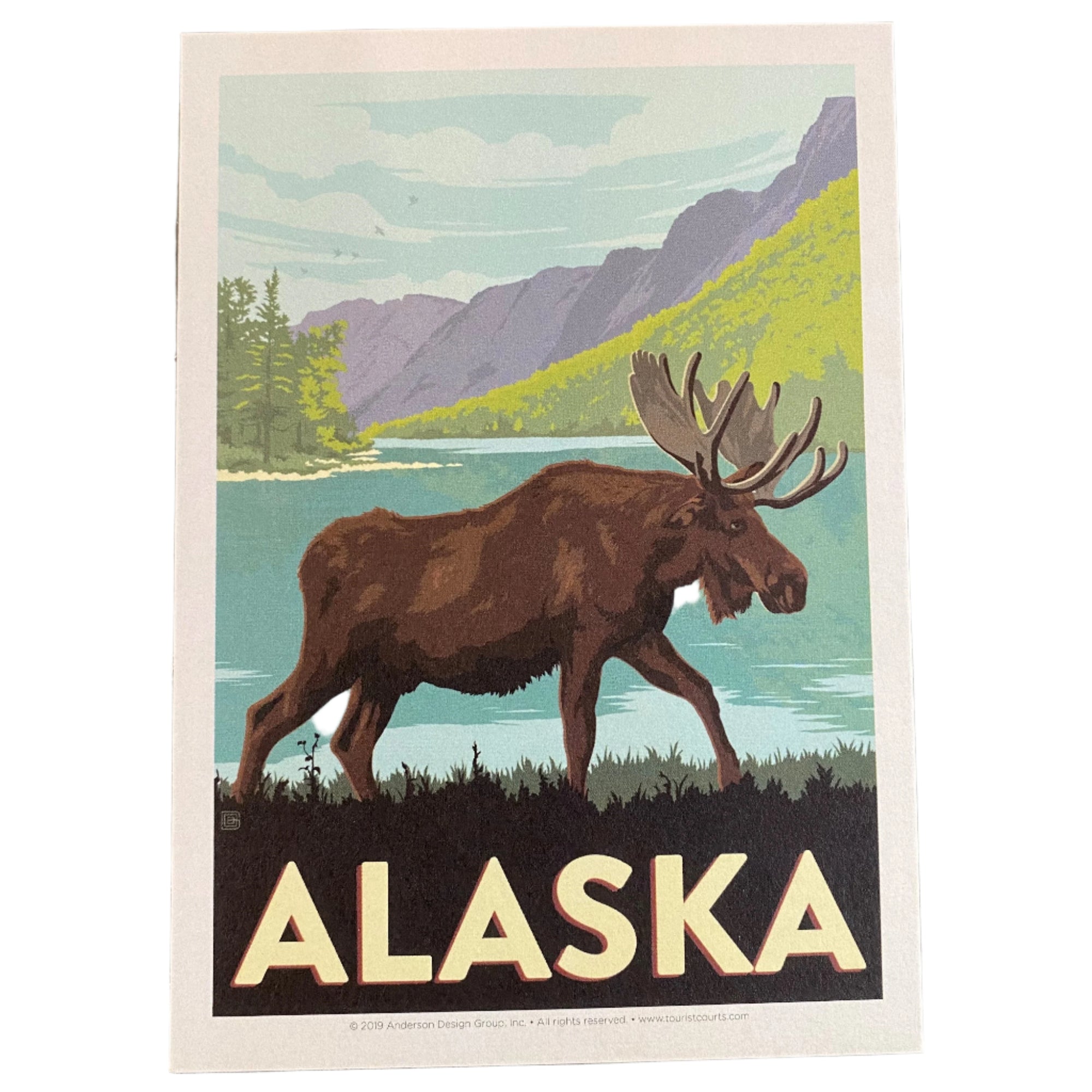 Vintage Alaska Moose Postcard