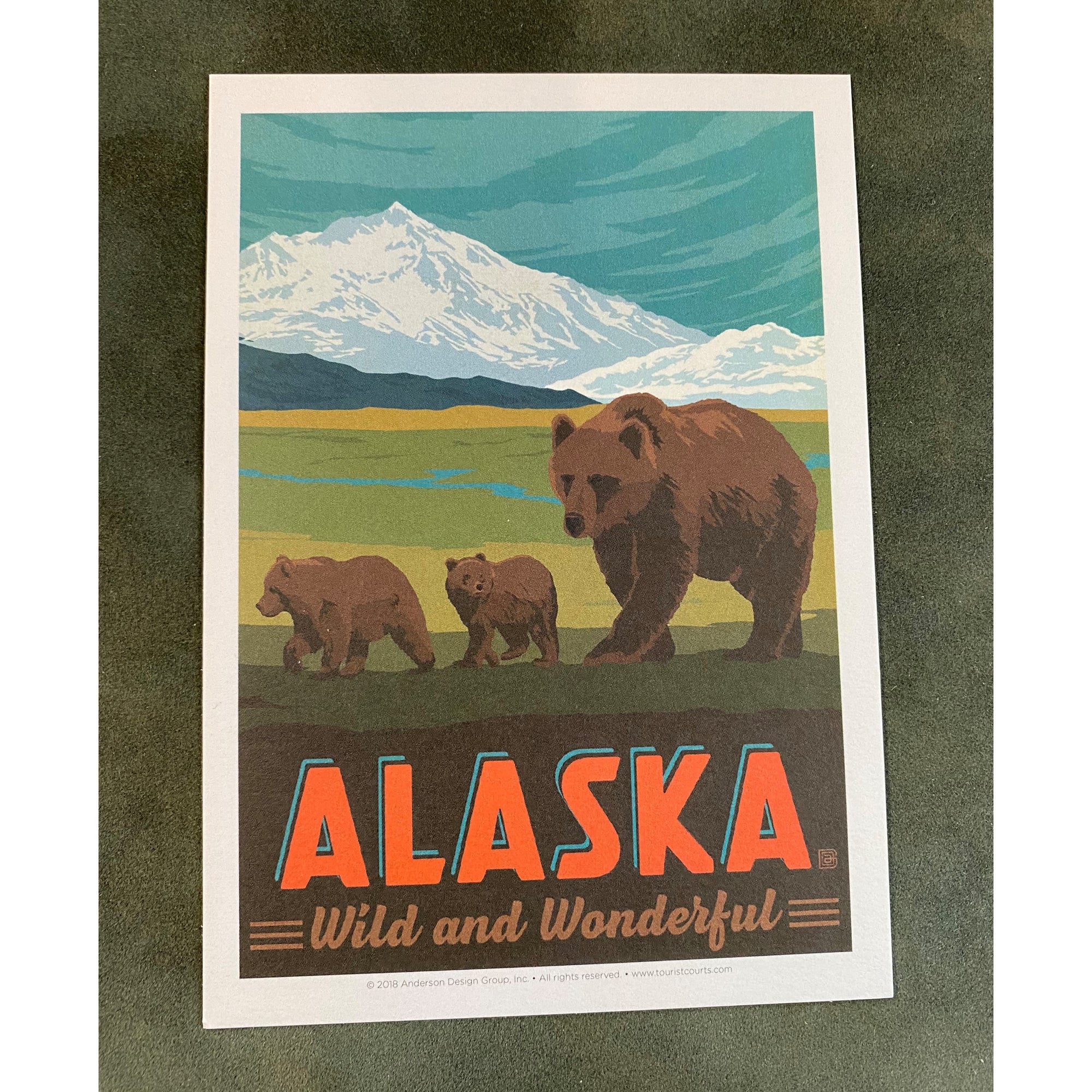 Vintage Bear and Cubs Postcard