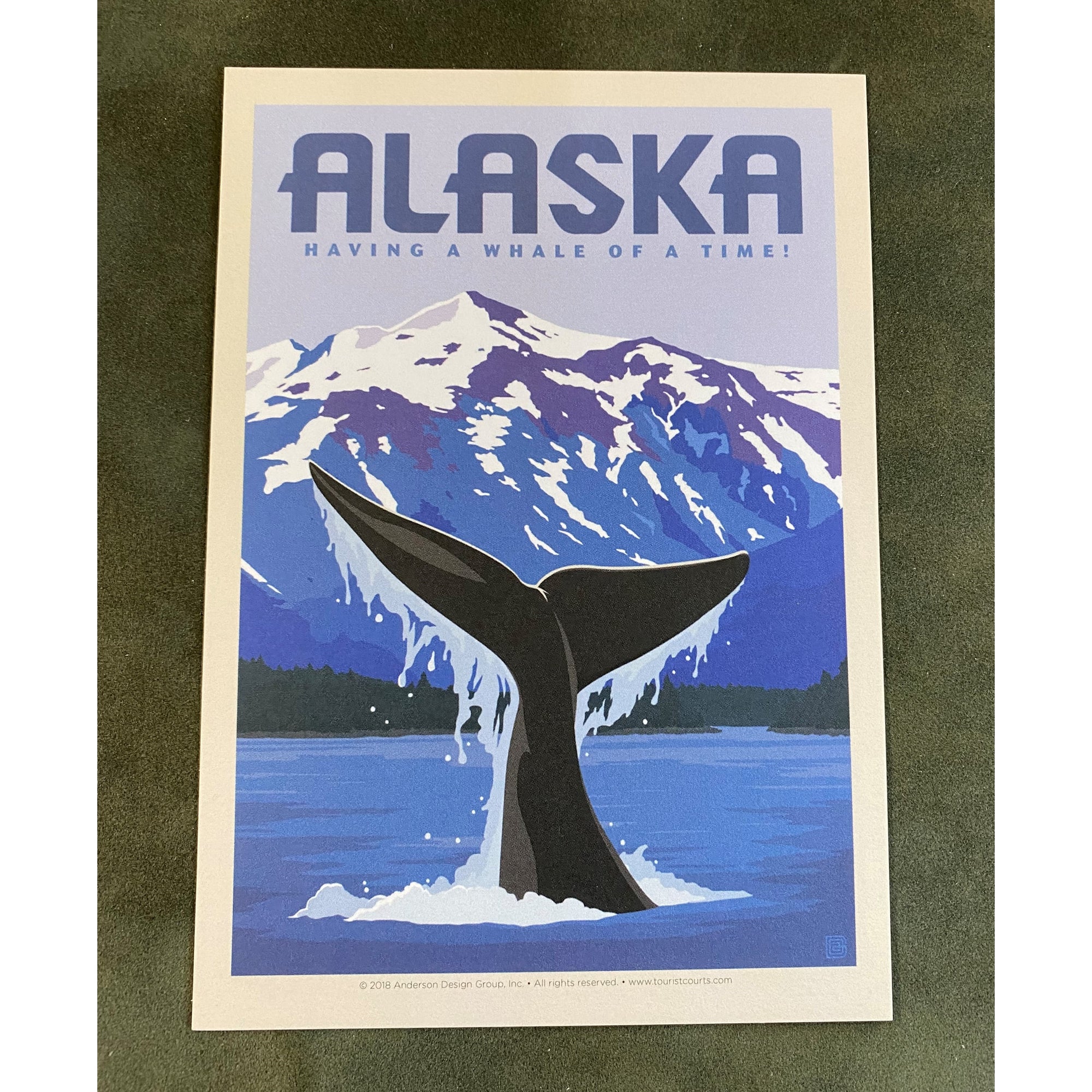 Vintage Whale Tail Postcard