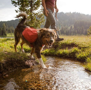Front Range Dog Harness Day Pack