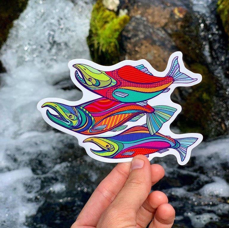 Salmon - Sticker