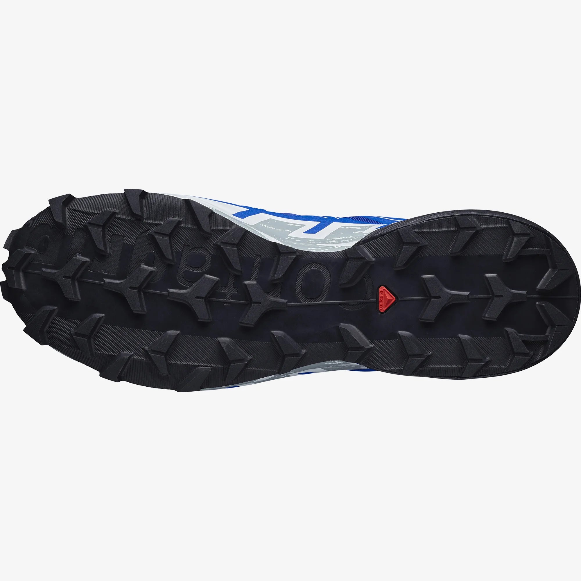 Speedcross 6 GTX Mens Shoes Forests Tides and Treasures
