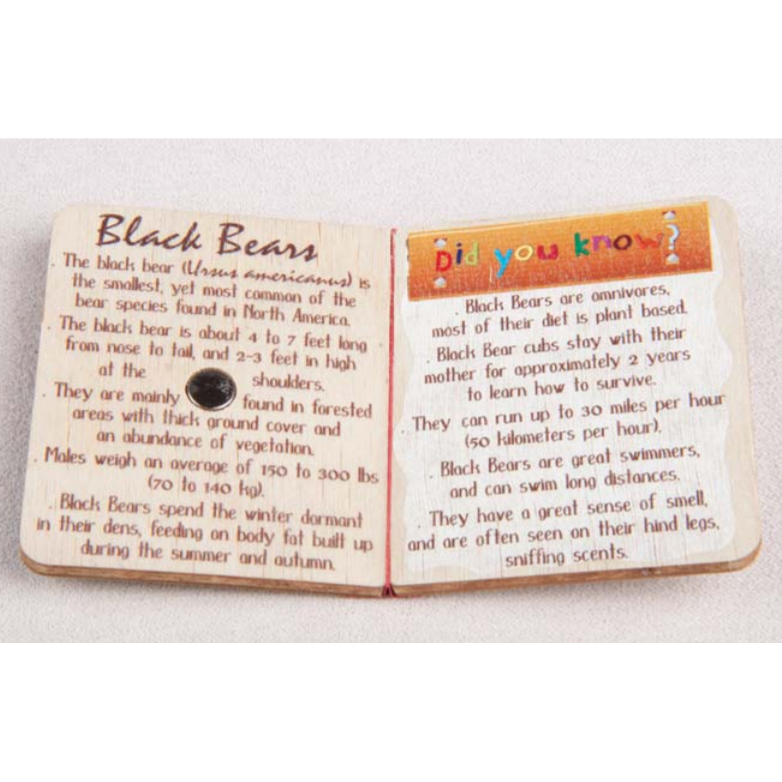 Book Magnets