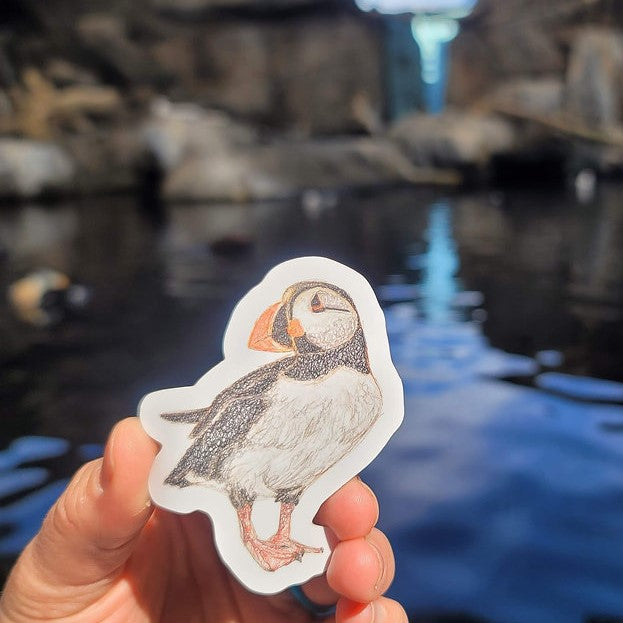 Puffin Sticker