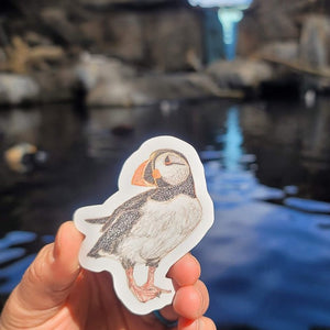 Puffin Sticker