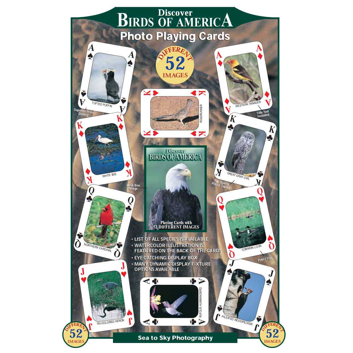 Birds of America Playing Cards
