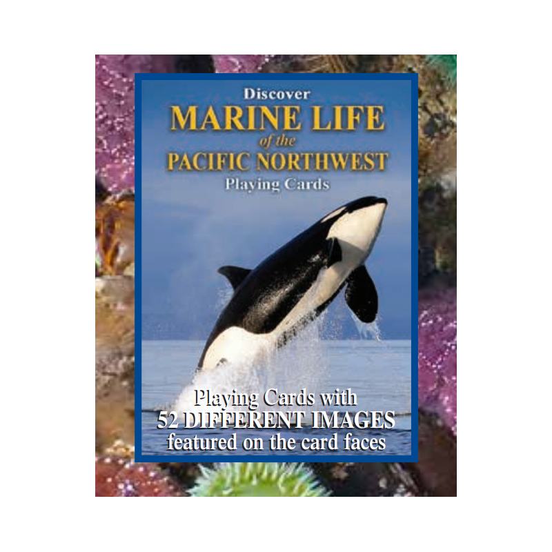 Marine Life Playing Cards