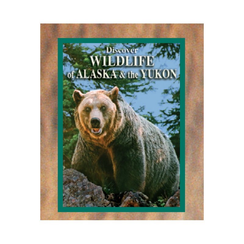 Wildlife of Alaska Playing Cards