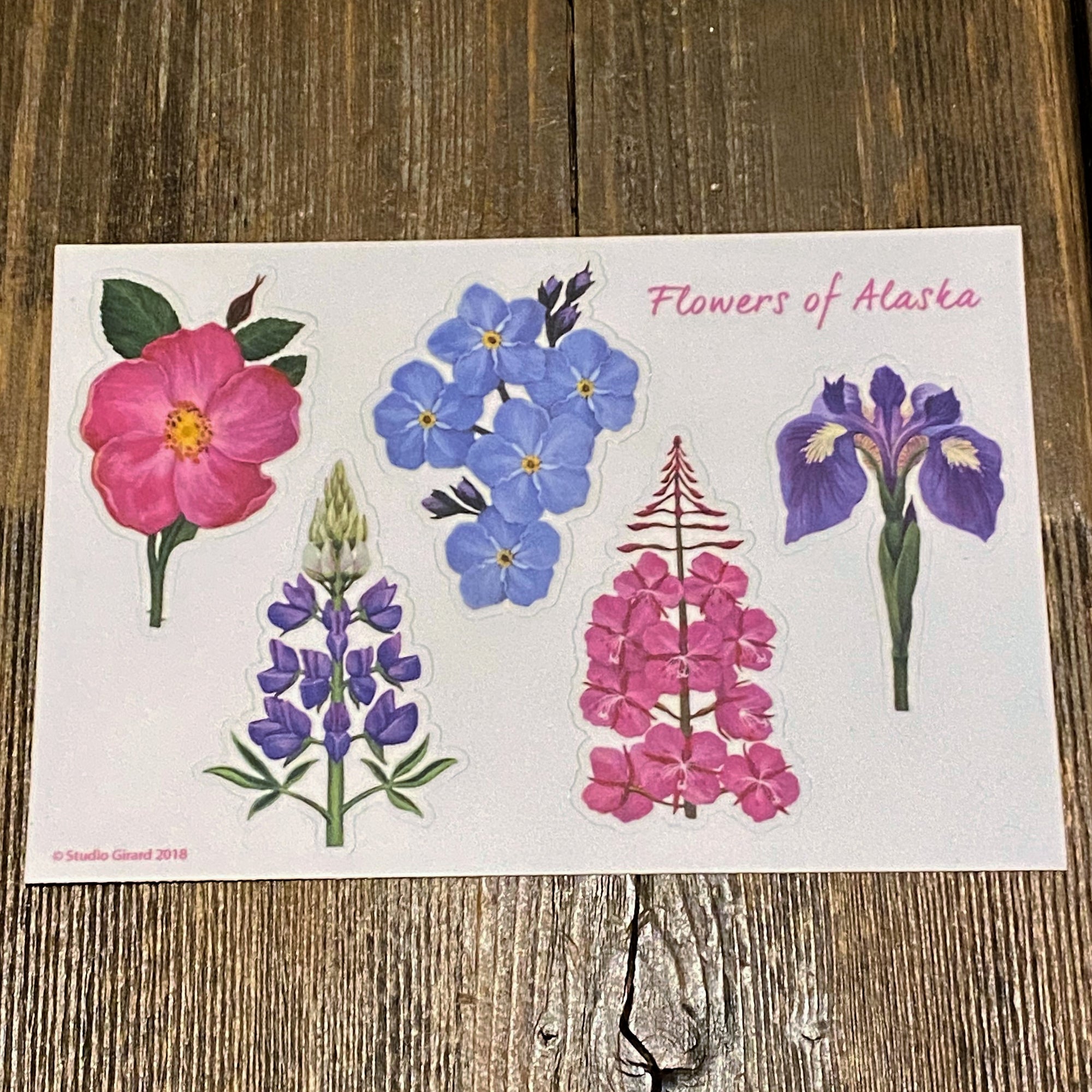 Flowers of Alaska Sticker