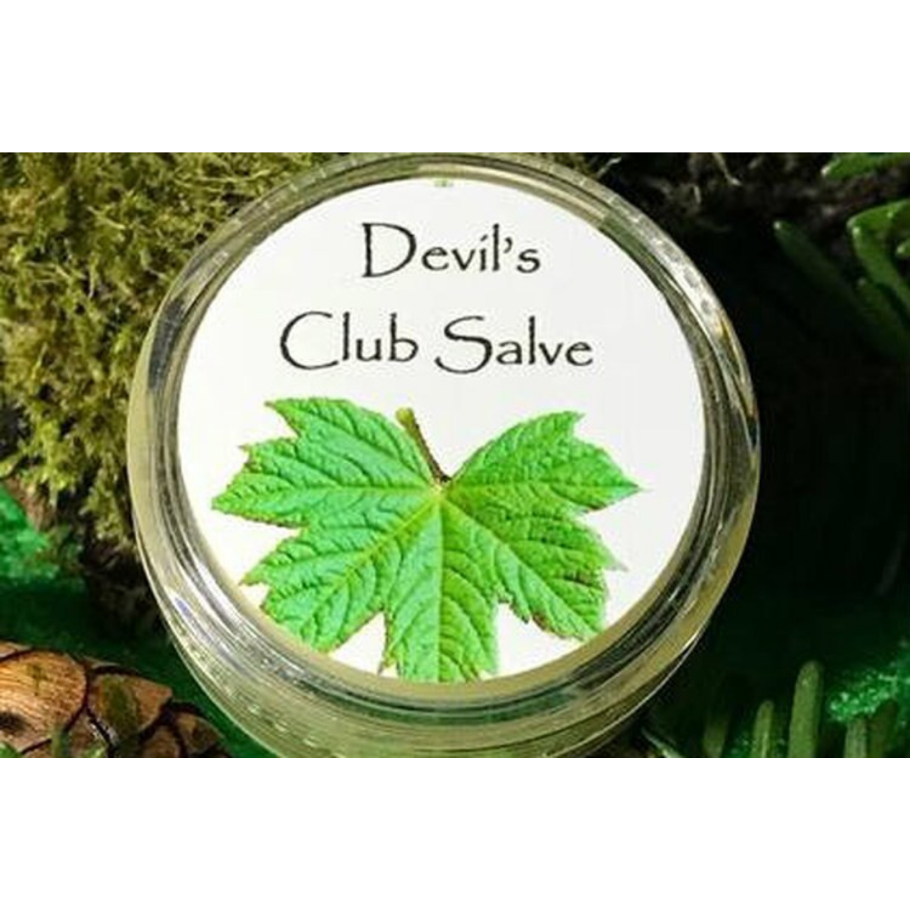 Devil's Club Salve