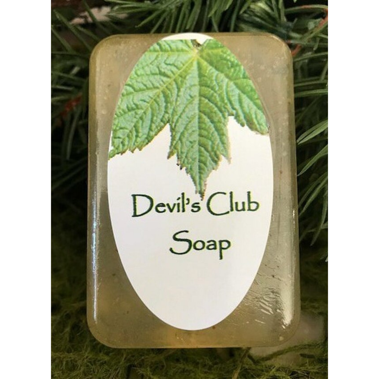 Devil's Club Soap