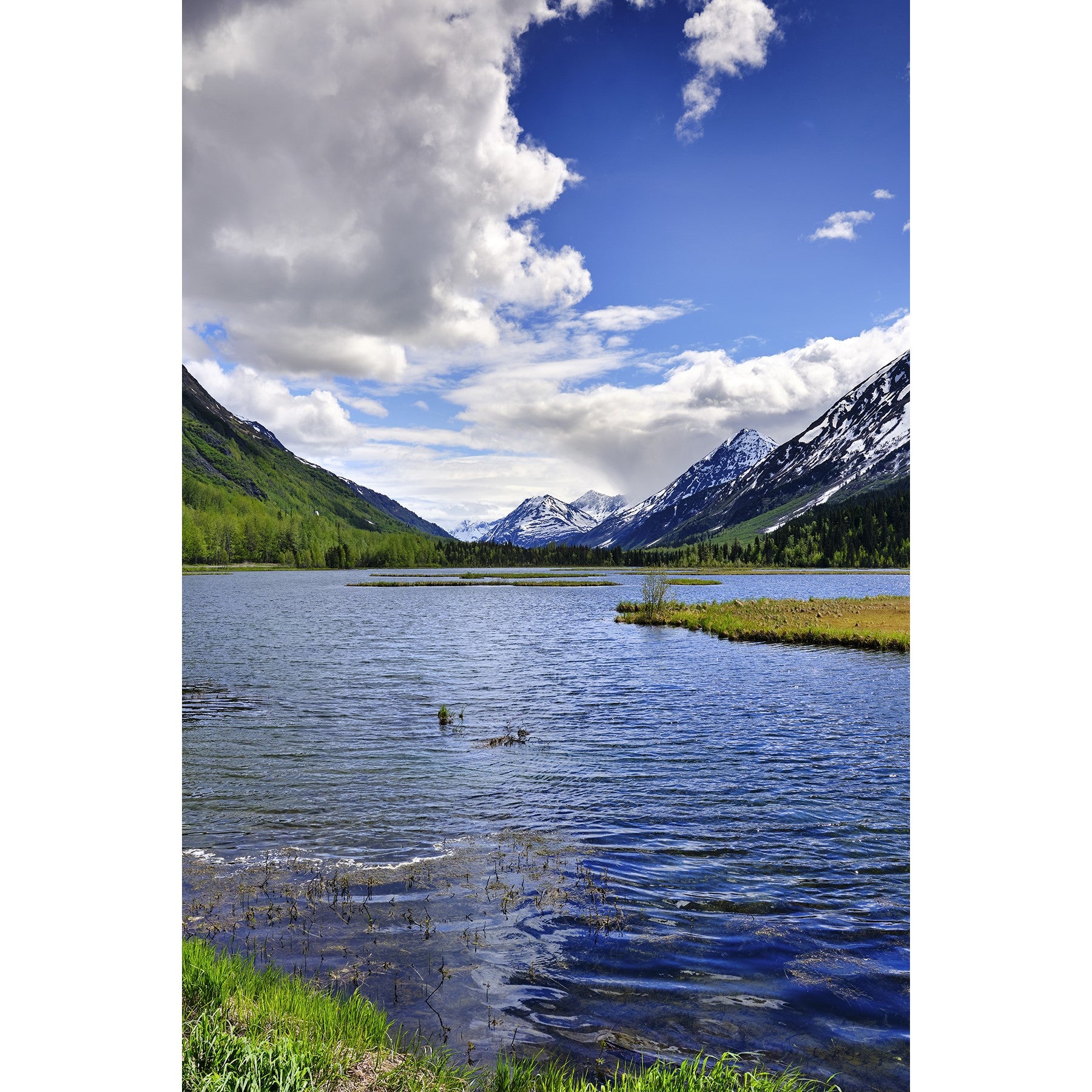 Tern Lake - Metal Print