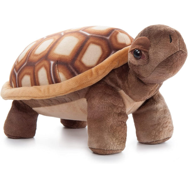 ThePettingZoo_WildOnez_Tortois