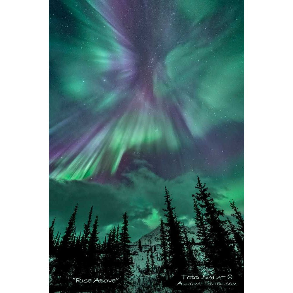 Rise Above -Metal Prints