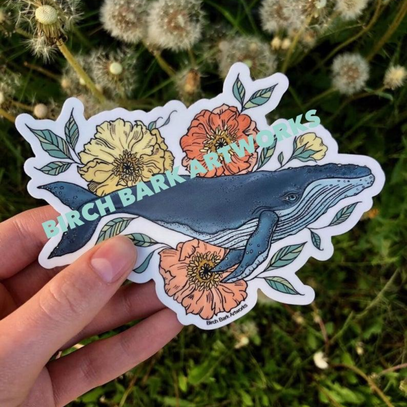 Whale Sticker