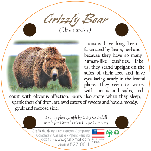 Grizzly Bear Cork Coaster