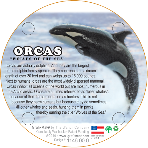Orcas Wolves of the Sea Cork Coaster