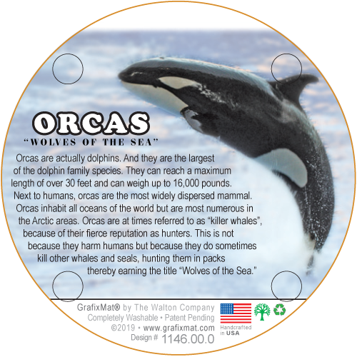 Orcas Cork Coaster