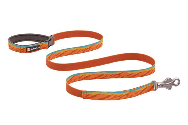 Flat Out Dog Leash