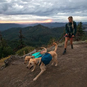Front Range Dog Harness Day Pack