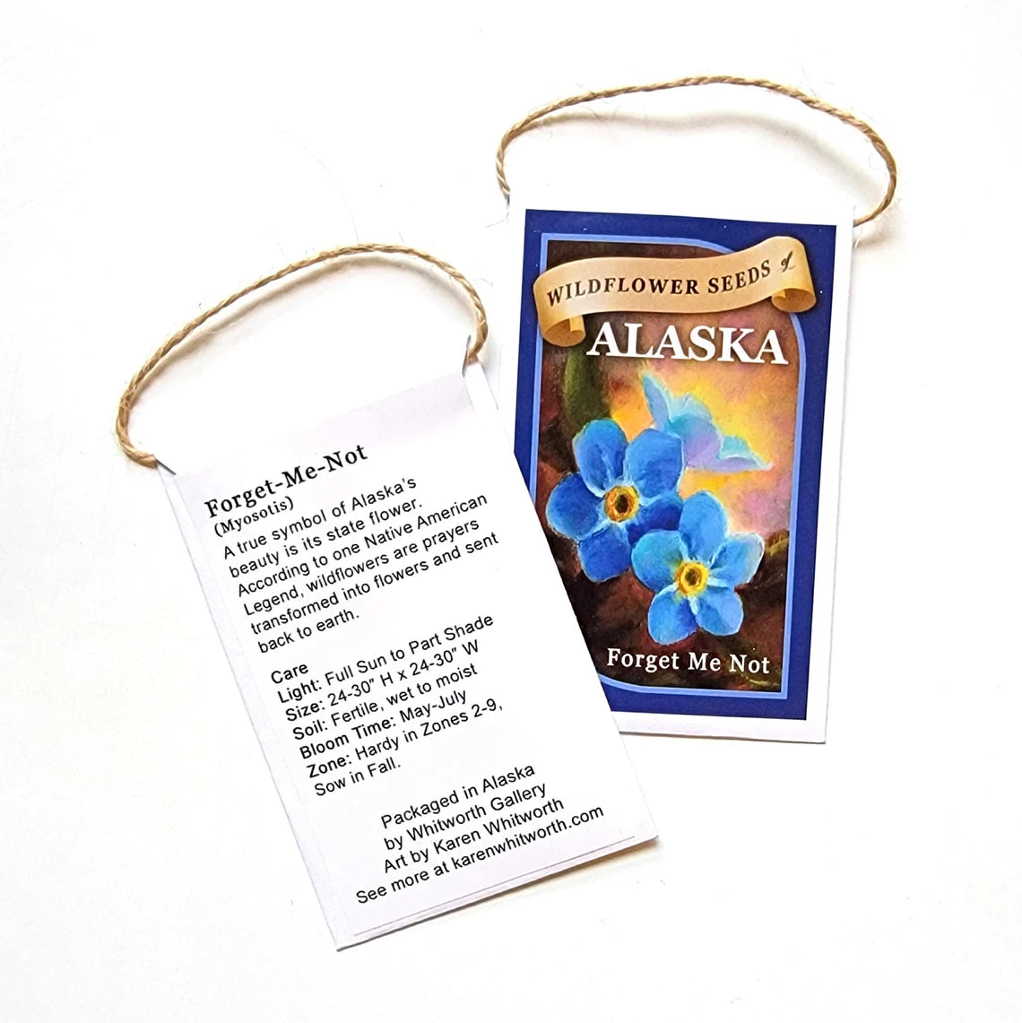 forget me not seed to flower time Forget Me Not Seeds