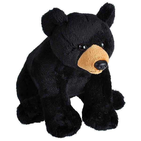 Wild Calls Black Bear