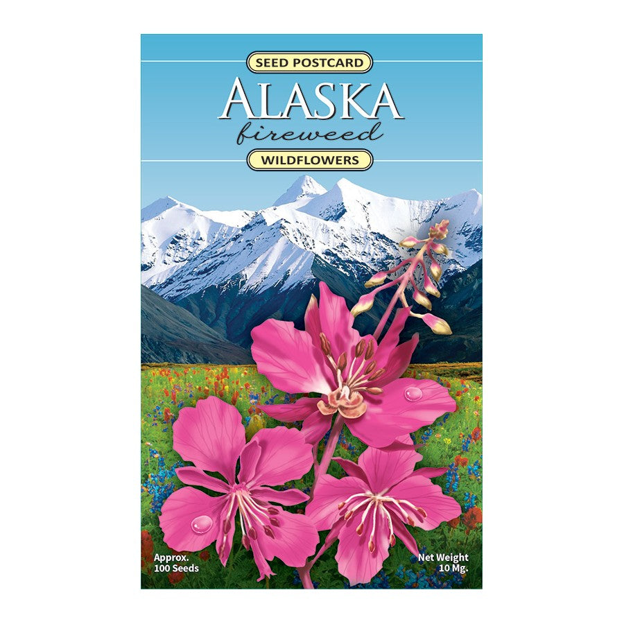 Alaska Seed Postcards Fireweed
