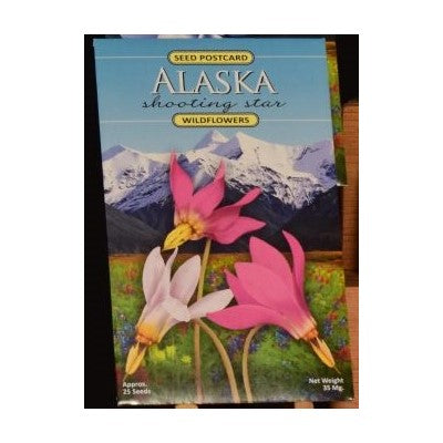Seed Postcard Shooting Star