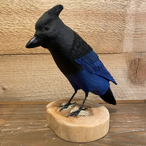 Stellars Jay Wood Carving