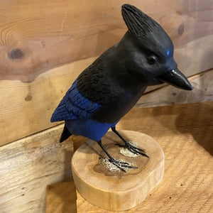 Stellars Jay Wood Carving