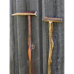 Walking Stick Antler Cane