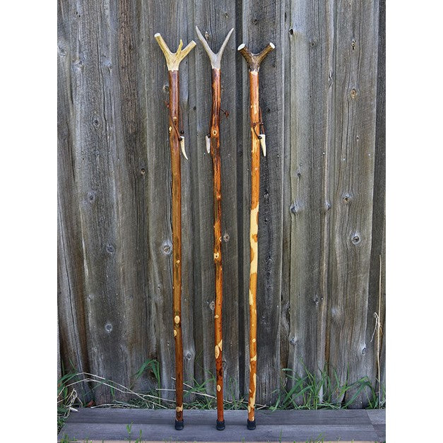 Walking Stick Antler Top