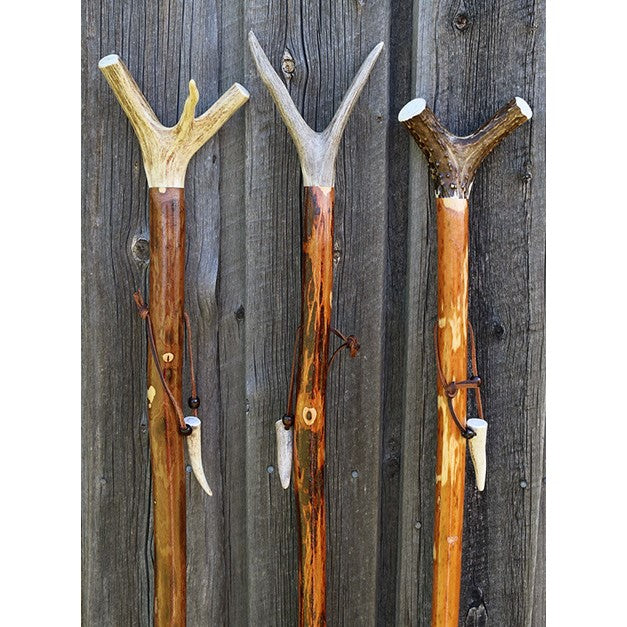 Walking Stick Antler Top