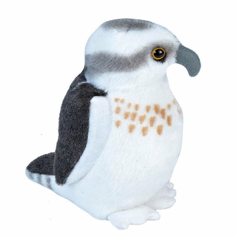 Osprey Audubon Birds