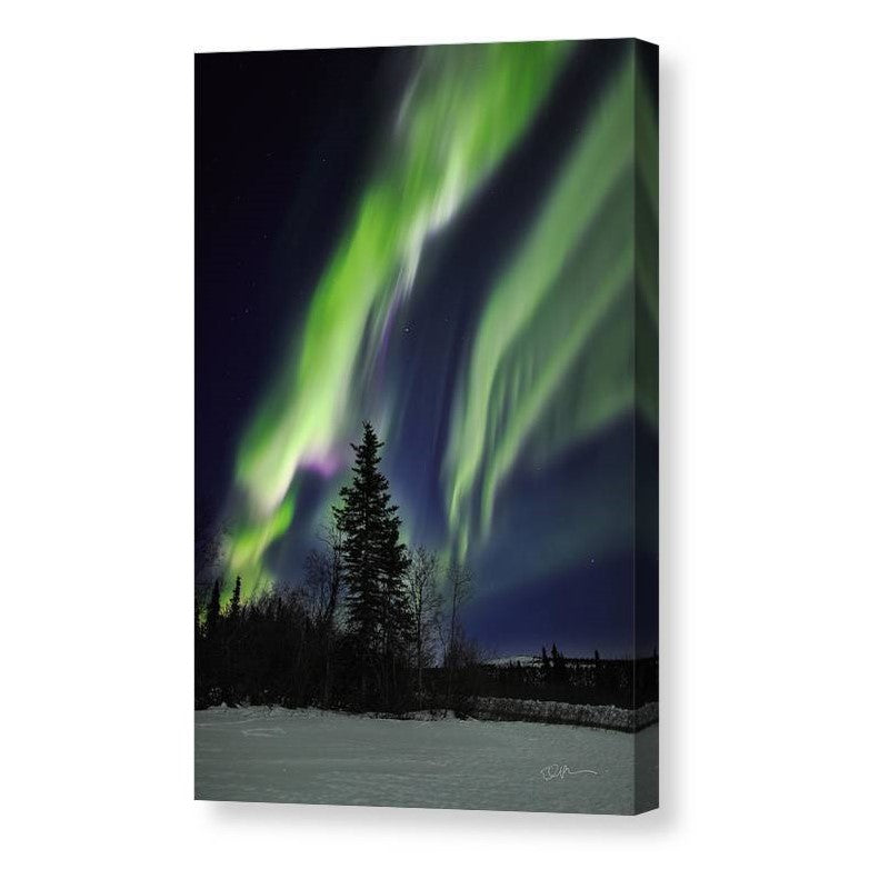 Aurora's Grip - Matted Print