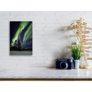 Aurora's Grip - Matted Print