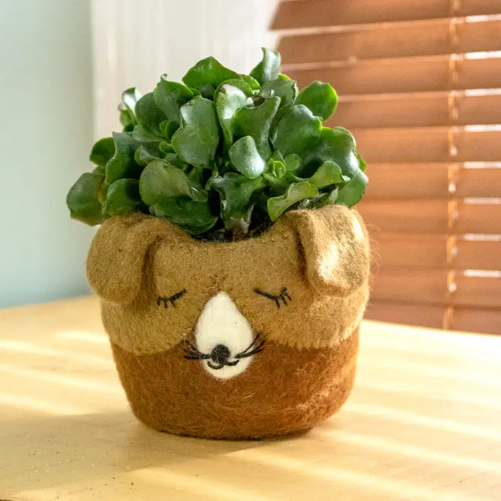 Hand Felted Planter