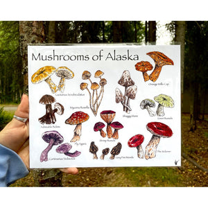 Mushrooms of AK Print