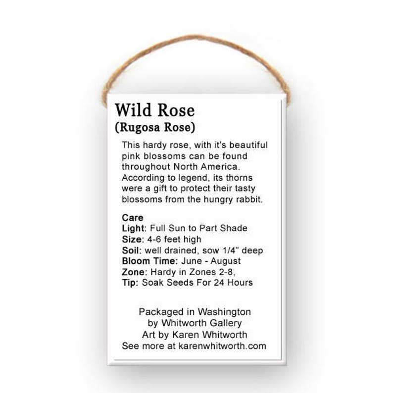 ohol wild rose seed Wild Rose Seeds