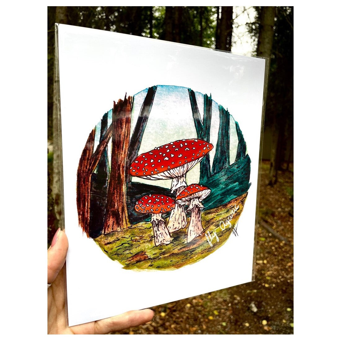 Fly Agaric Mushroom - Art Print