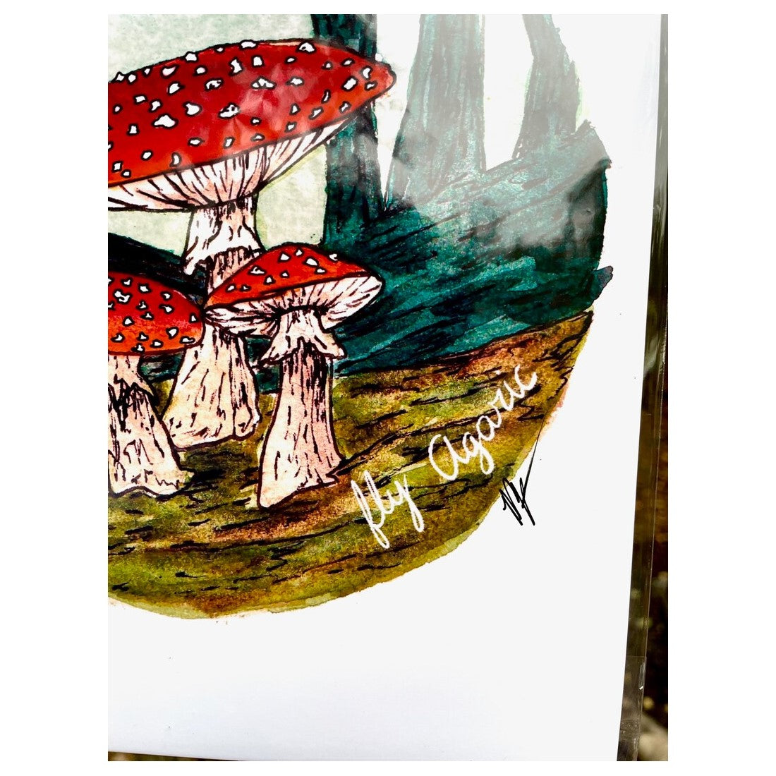 Fly Agaric Mushroom - Art Print