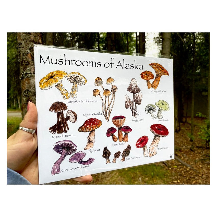 Mushrooms of AK Print