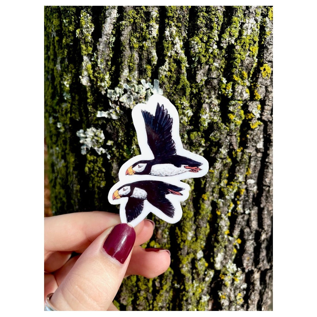 Two Puffins Sticker