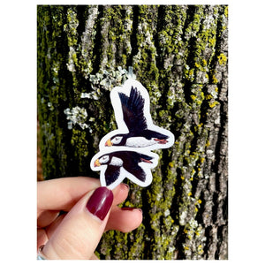 Two Puffins Sticker